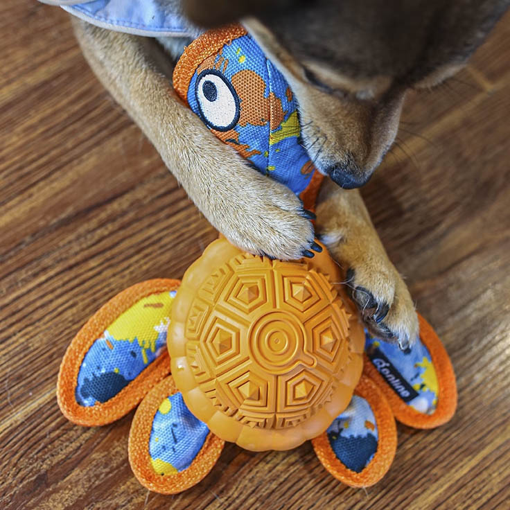 Q-MONSTER 橡膠漏食海龜玩具 烏龜玩具 磨牙玩具