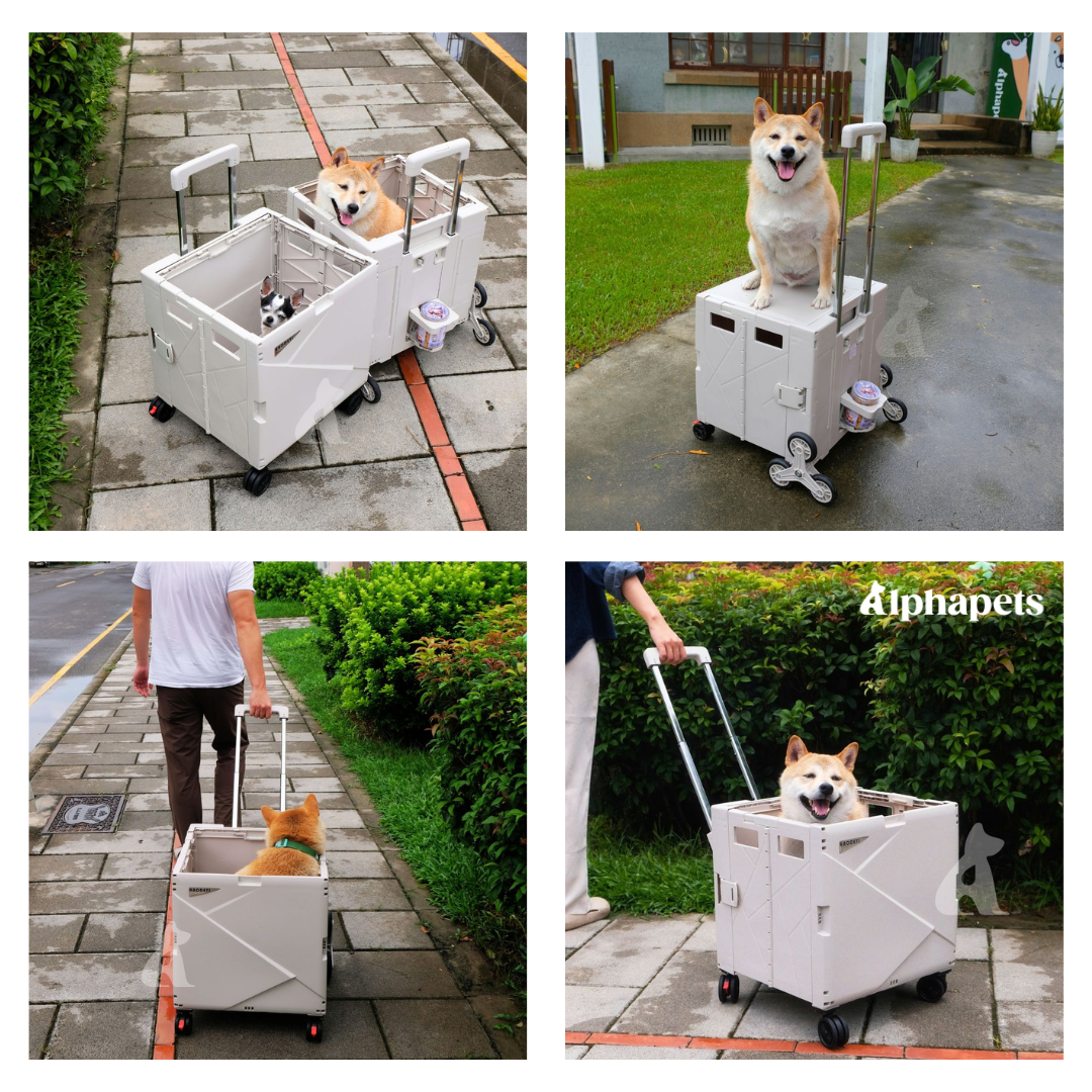 萬用折疊 寵物推車 2種款式/顏色