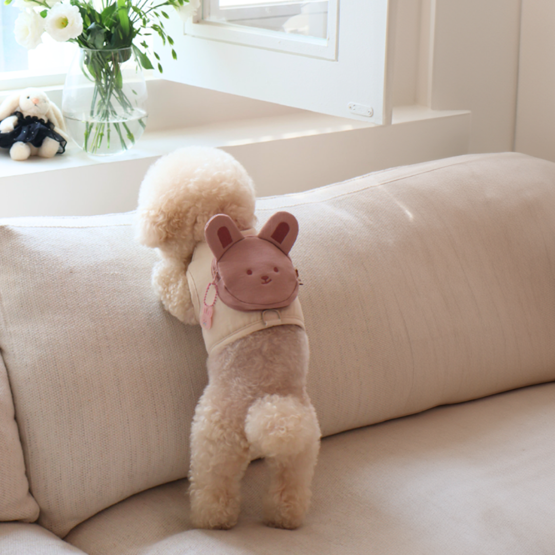 韓國MEANING 寵物胸背包鑰匙圈 服飾配件 3種款式