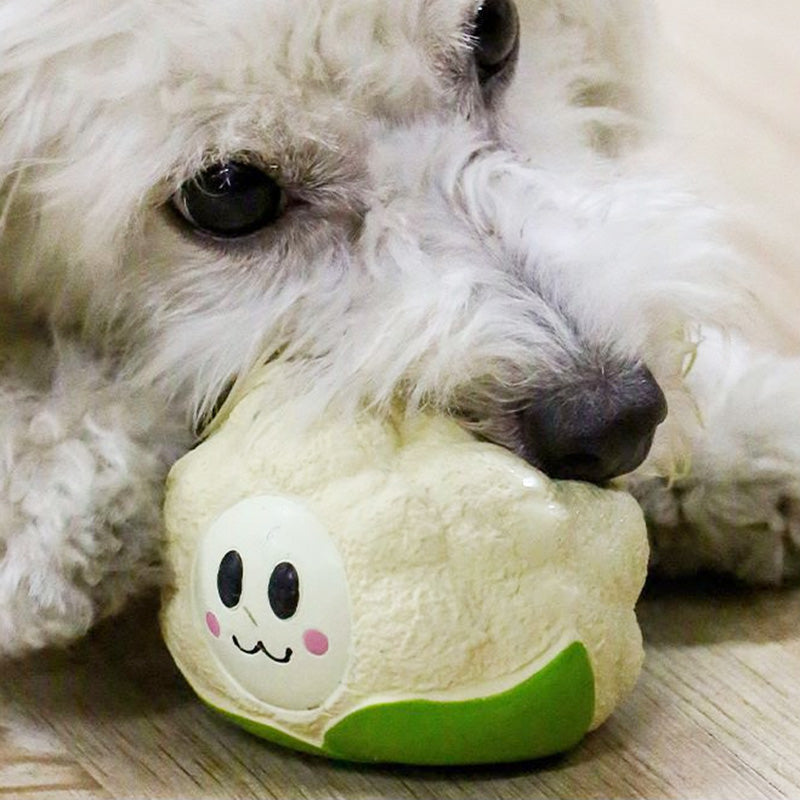 Q-MONSTER 薑蔥蒜家族 小小蔬菜家族 發聲玩具