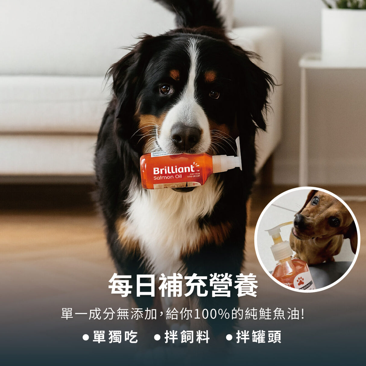 威比純天然 挪威鮭魚油N1 300ml