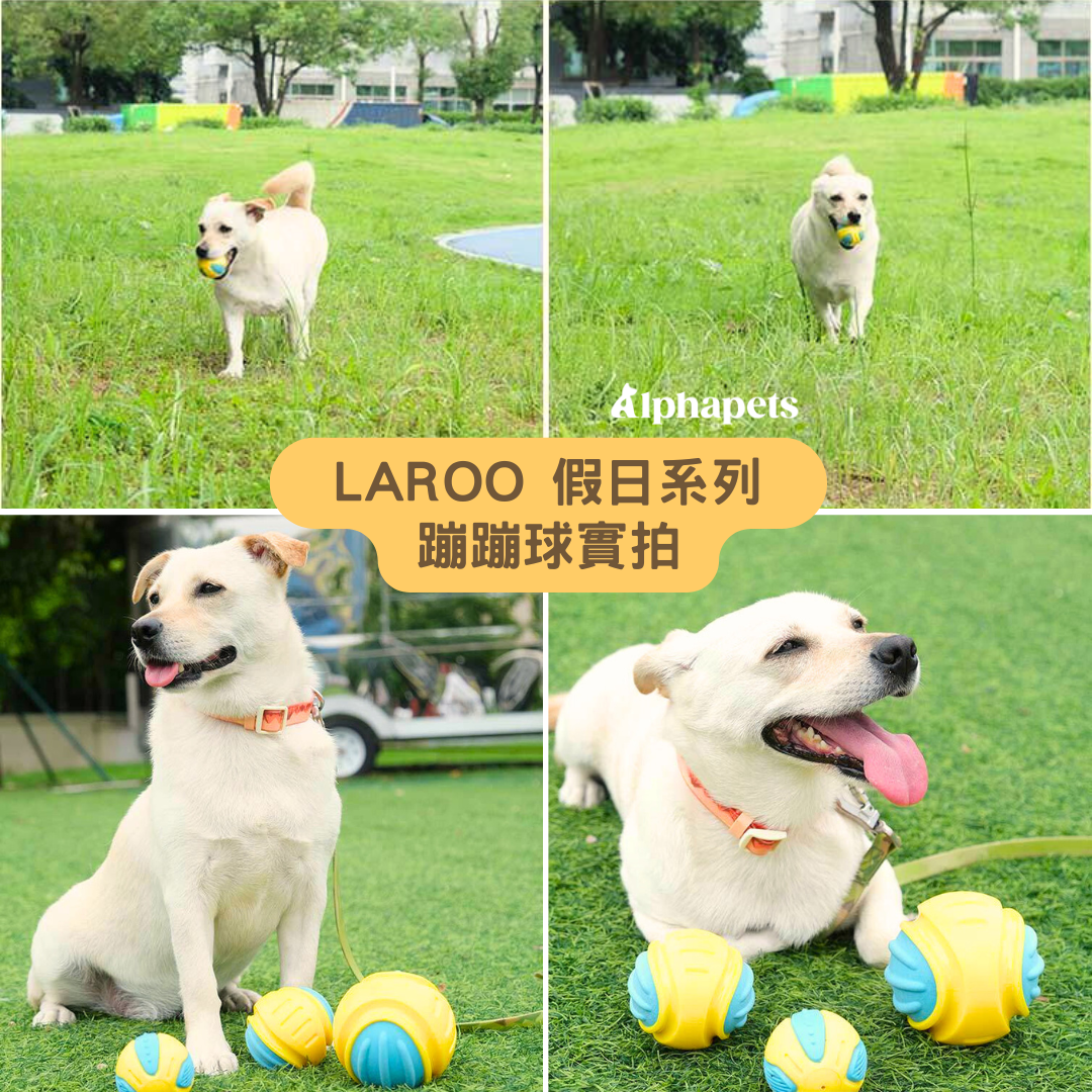 LaRoo 萊諾 假日系列 蹦蹦球 狗狗玩具球 寵物彈力球