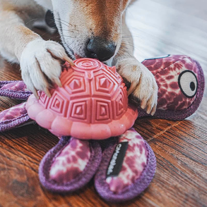 Q-MONSTER 橡膠漏食海龜玩具 烏龜玩具 磨牙玩具