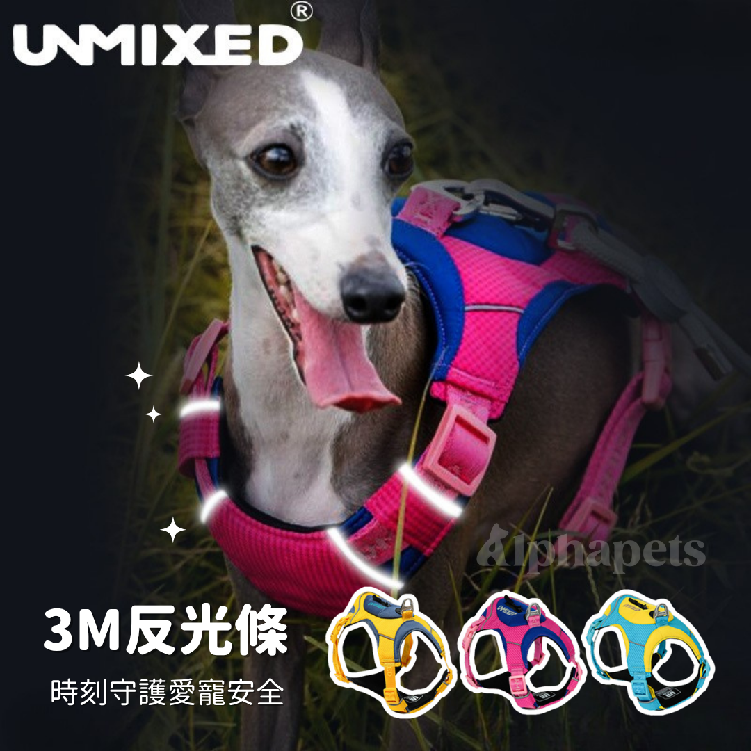 UNMIXED 城市探索者 牽引繩&胸背帶 多種尺寸顏色