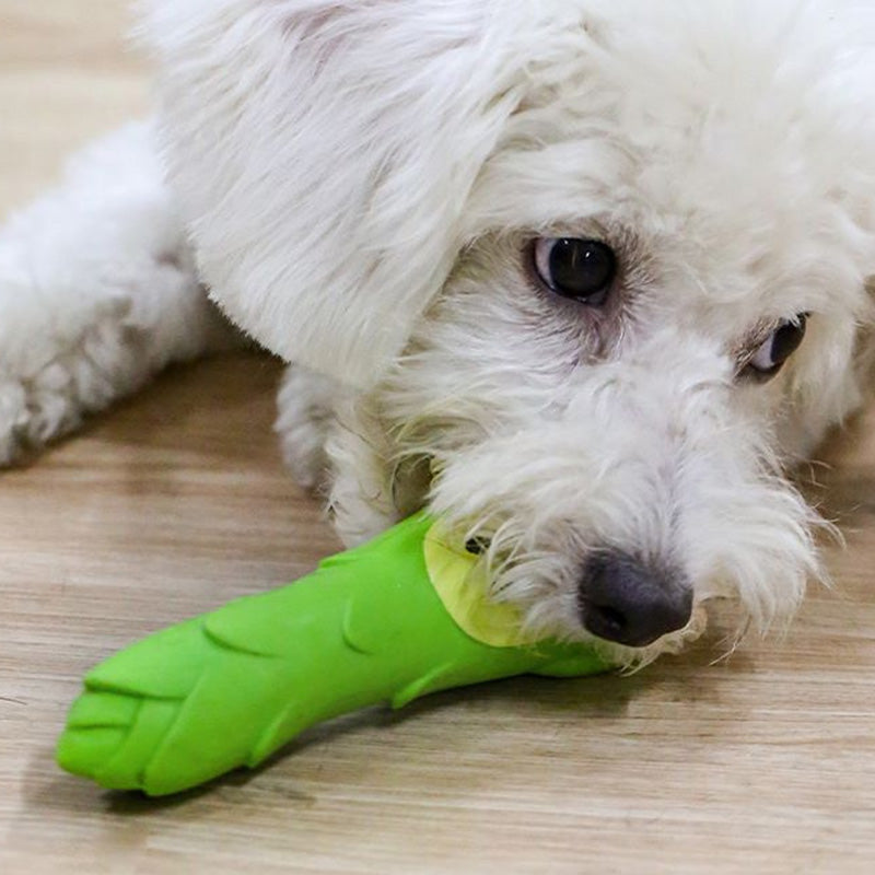 Q-MONSTER 薑蔥蒜家族 小小蔬菜家族 發聲玩具