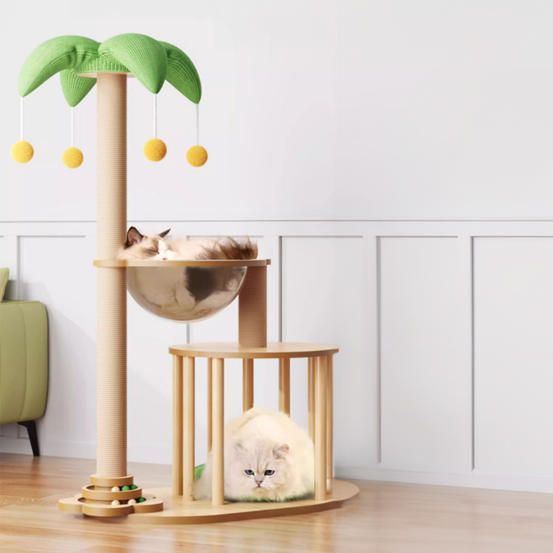 貓跳台 多種款式