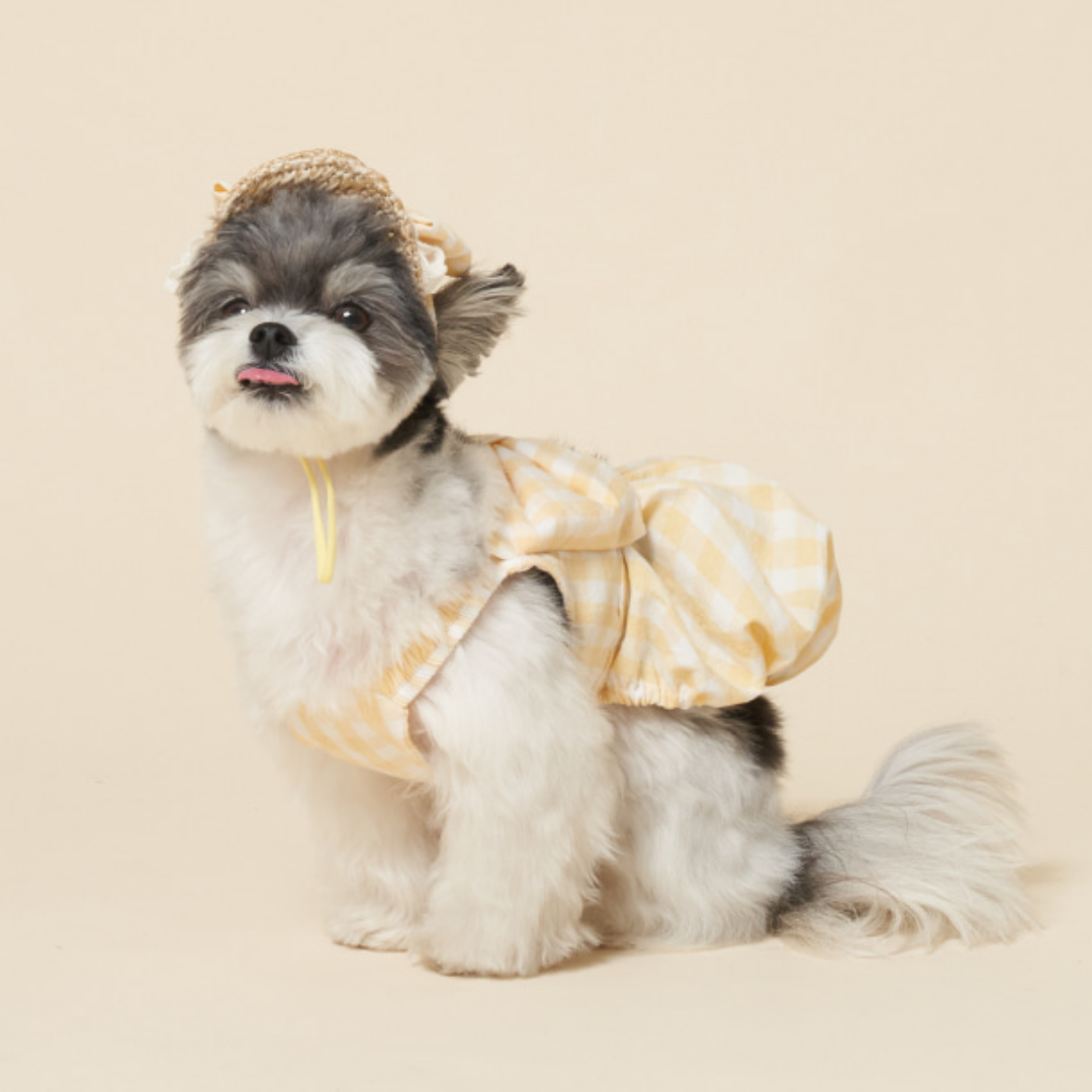 韓國MEANING 格紋蝴蝶結寵物帽 3種顏色