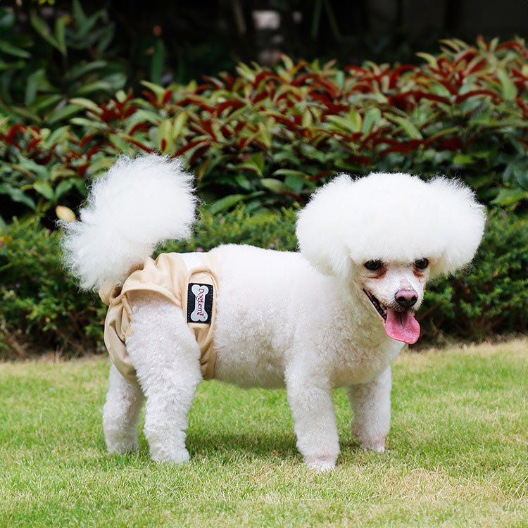 DogLemi 多樂米 寵物生理褲 尿布 母狗專用 寵物尿褲 可水洗 防漏尿