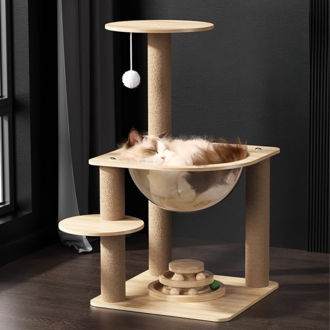 貓跳台 多種款式