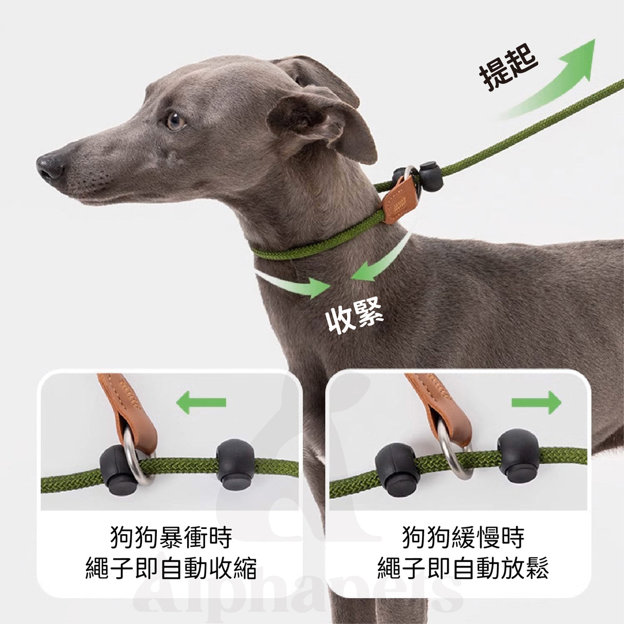 HIDREAM 啵啵系列 寵物皮革手柄一體牽繩 寵物牽繩