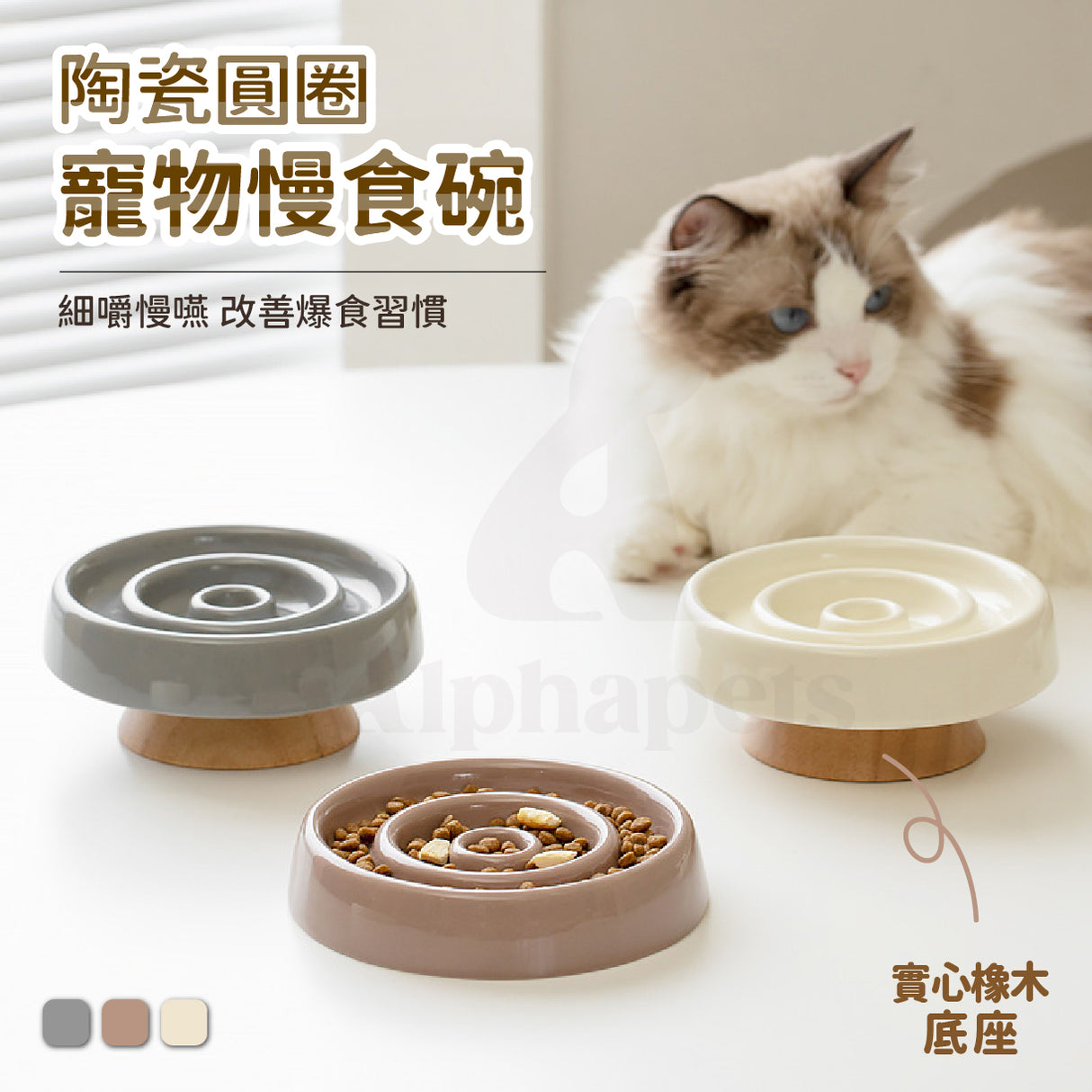 陶瓷圓圈寵物慢食碗 防暴食 飲食控制 護頸 實木底座 寵物碗 3色