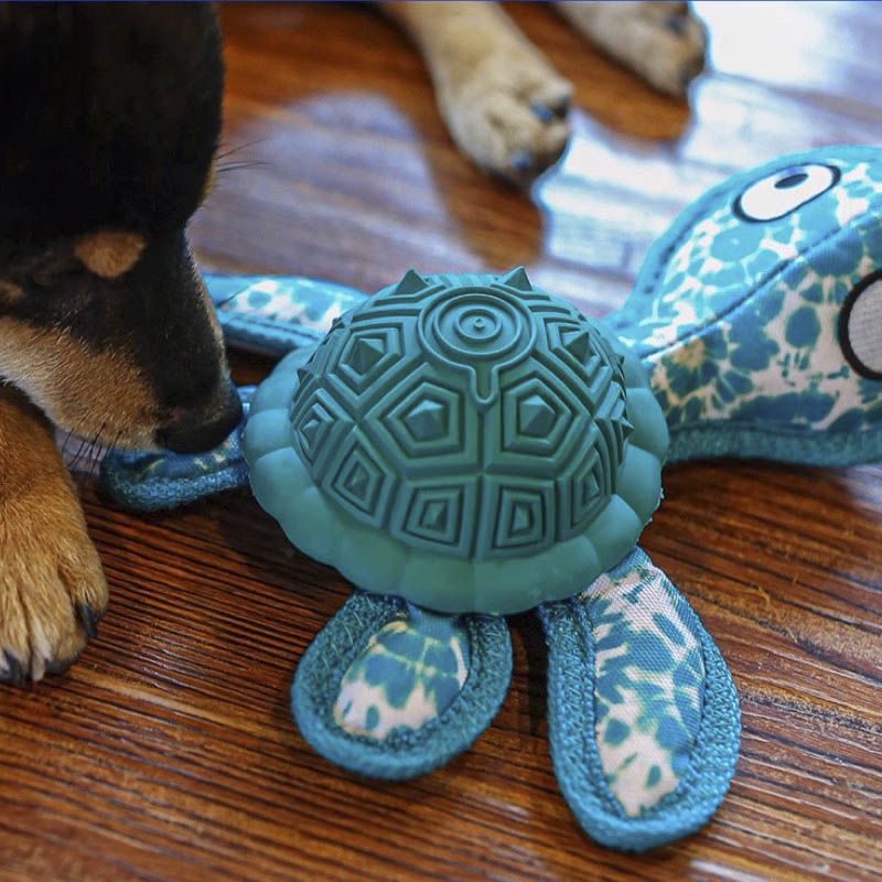 Q-MONSTER 橡膠漏食海龜玩具 烏龜玩具 磨牙玩具