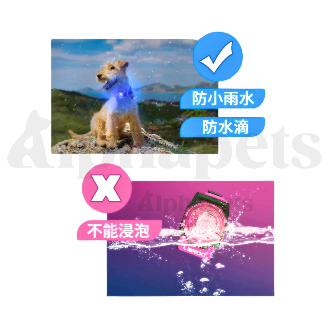 LaRoo 萊諾 魔幻森林發光吊墜 寵物發光項圈 防水 可切換發光模式