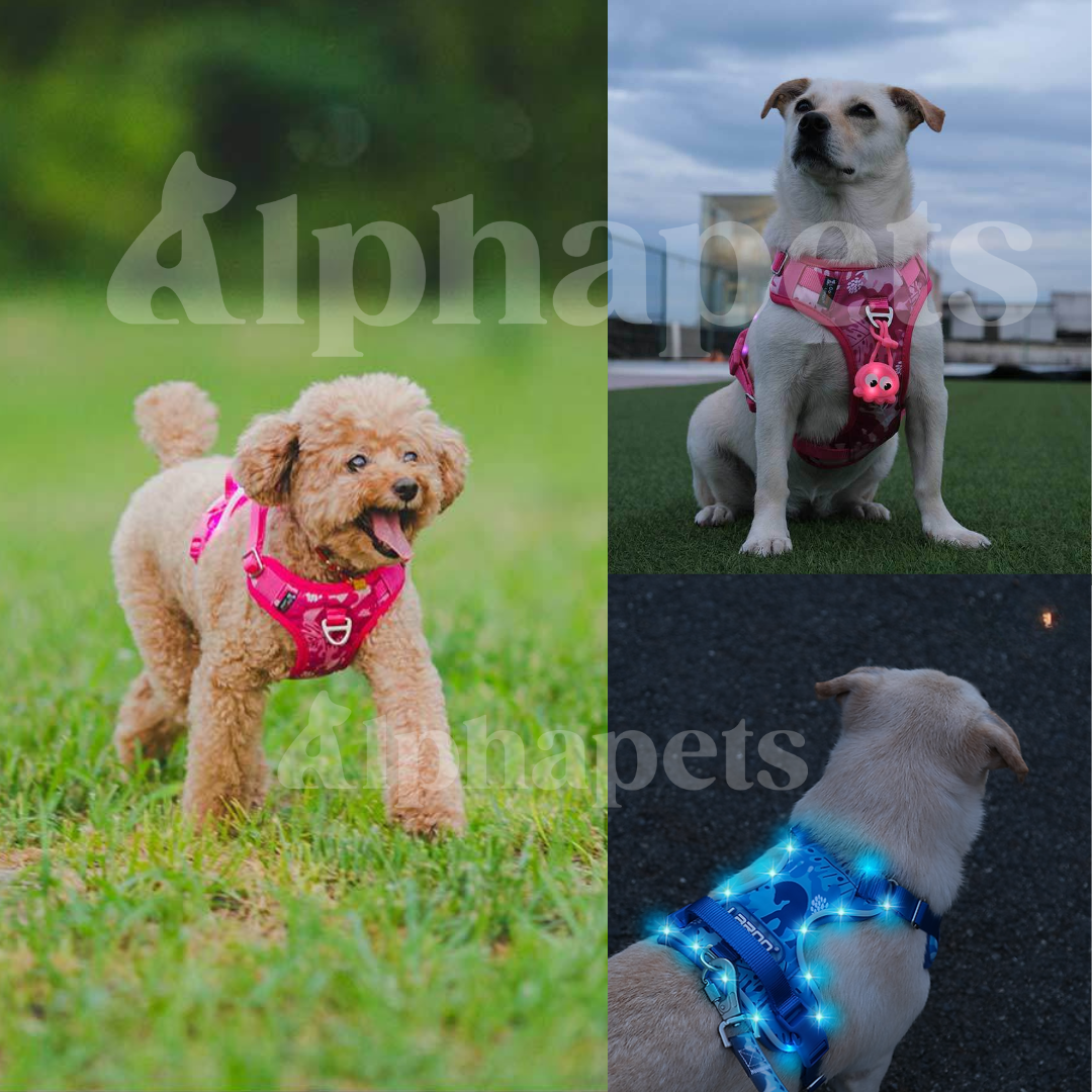 LaRoo 萊諾 魔幻森林發光胸背帶 寵物發光項圈 防水 可切換發光模式