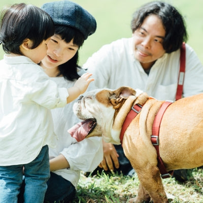 tails&me 尾巴與我 經典尼龍帶胸背帶 Nomo單色系列 寵物胸背帶