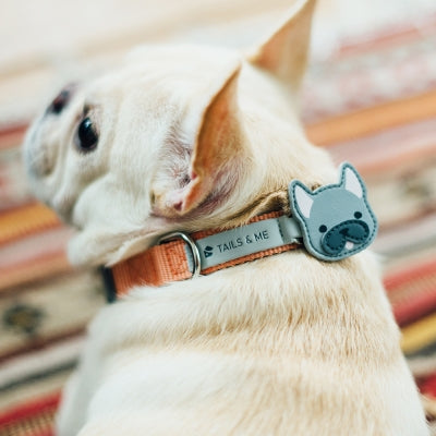 tails&me 尾巴與我 自然概念革配件 皮標 項圈牽繩配件