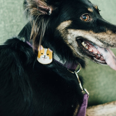 tails&me 尾巴與我 自然概念革配件 皮標 項圈牽繩配件