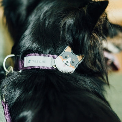 tails&me 尾巴與我 自然概念革配件 皮標 項圈牽繩配件