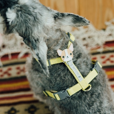 tails&me 尾巴與我 自然概念革配件 皮標 項圈牽繩配件