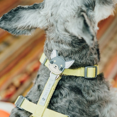 tails&me 尾巴與我 自然概念革配件 皮標 項圈牽繩配件