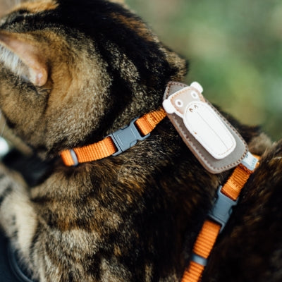 tails&me 尾巴與我 經典尼龍帶胸背帶 For Cat 貓系列 寵物胸背帶