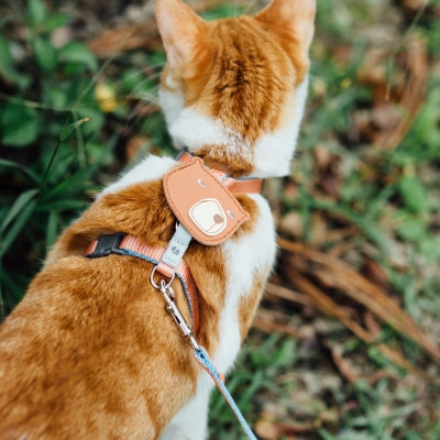tails&me 尾巴與我 經典尼龍帶胸背帶 For Cat 貓系列 寵物胸背帶