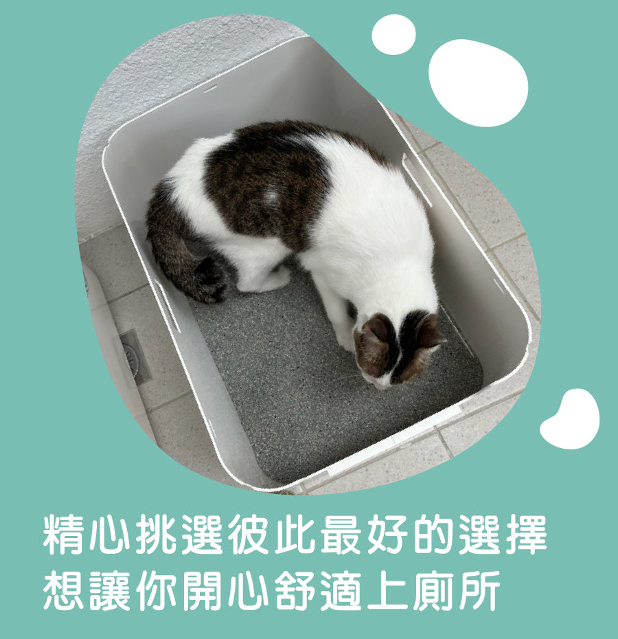 【8折優惠】ODOUT 臭味滾 無香除臭瞬吸礦砂4kg / 1.5mm極細抗臭豆腐貓砂 7L (2.8kg)