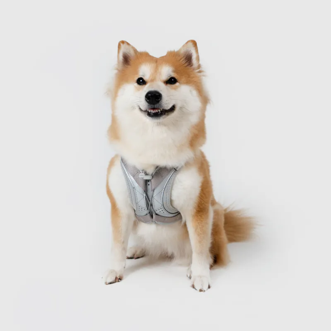 SPUTNIK 斯普尼克 Ultra Explore 終極胸背帶 銀色