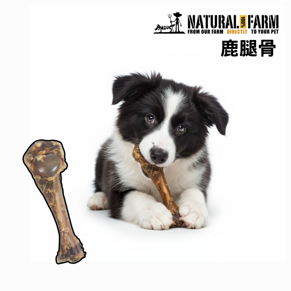NATURAL FARM 自然牧場 單支耐咬系列 鹿腿骨 單入 M號