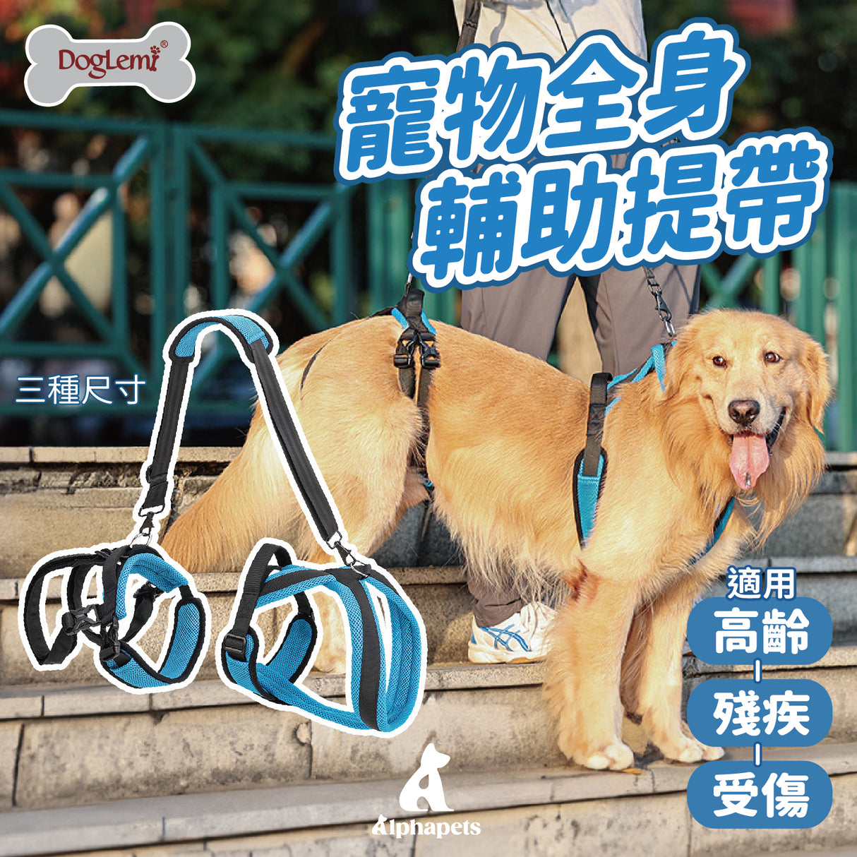 DogLemi多樂米 狗狗全身輔助提帶 輔助狗背袋 寵物輔助背帶 外出輔助 上下樓梯輔助