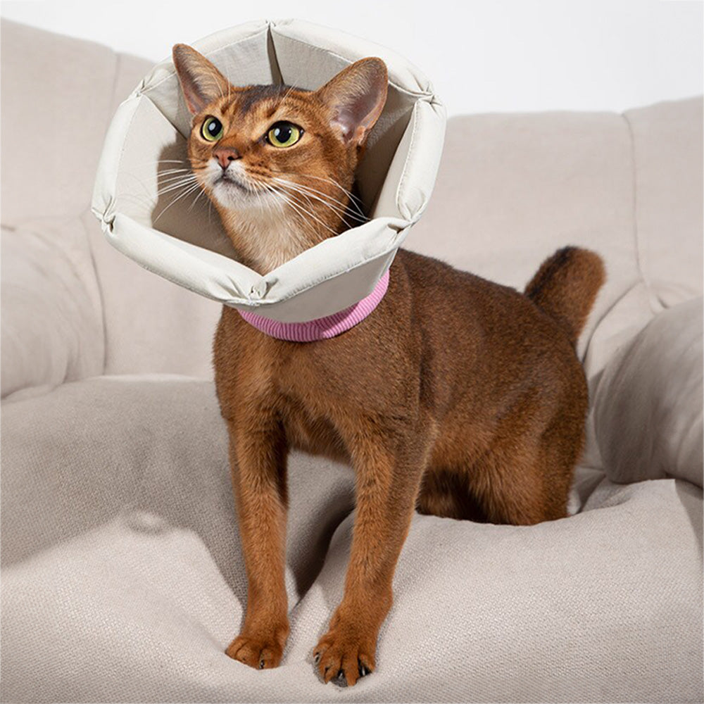 HiDREAM 海綿錐形伊麗莎白圈 防護頭套 寵物頭套 2色