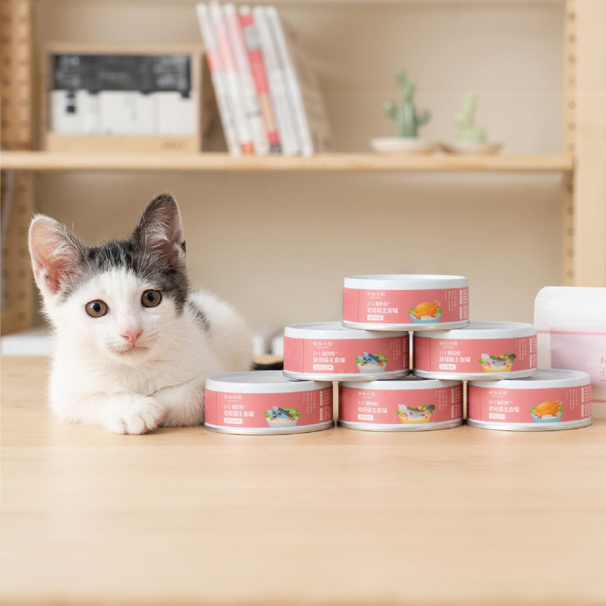 Lady Flavor好味小姐 1+1貓奶粉幼母貓主食罐 貓罐頭 貓主食
