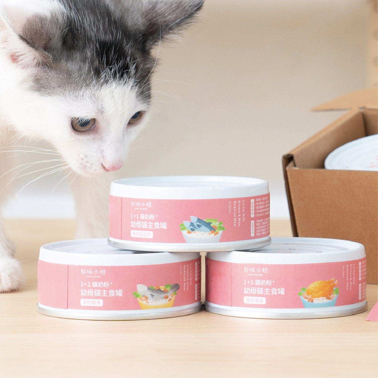 Lady Flavor好味小姐 1+1貓奶粉幼母貓主食罐 貓罐頭 貓主食