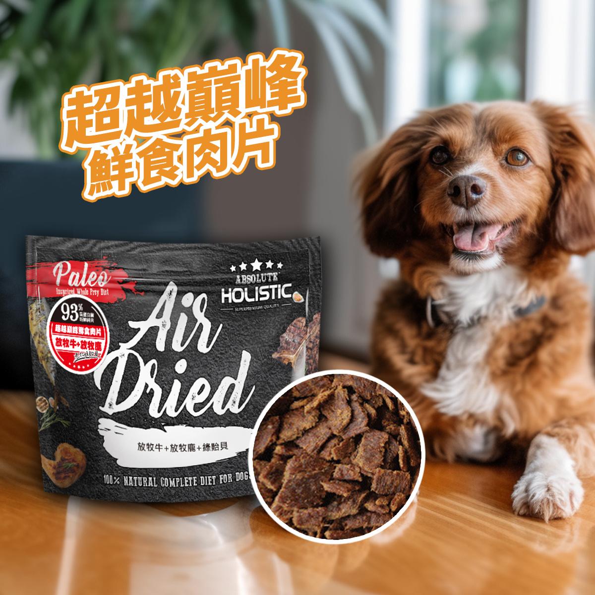Absolute Holistic超越巔峰 犬用鮮食肉片 25g
