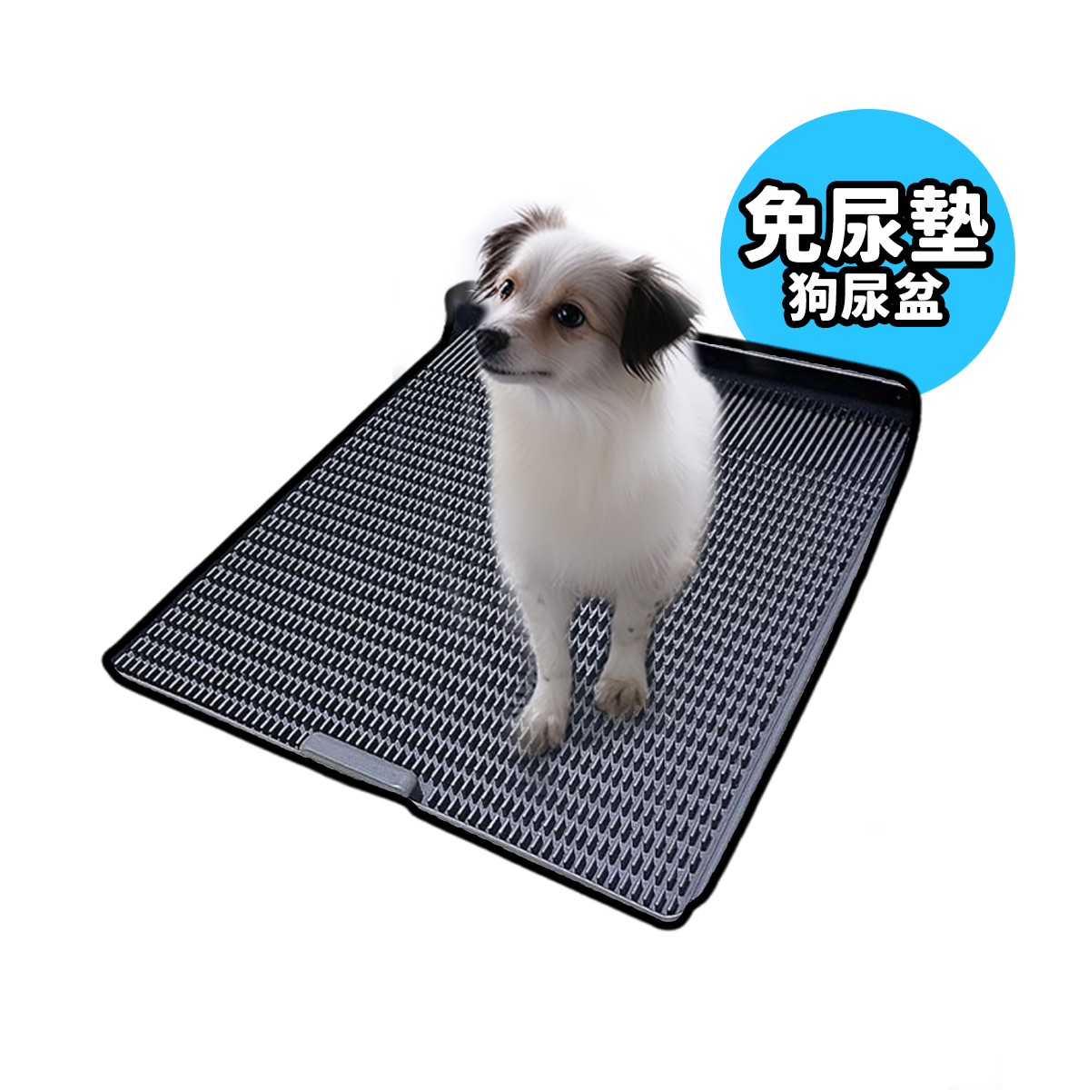 一體式狗尿墊 可重複利用 寵物尿盆 大中小型狗廁所 2色