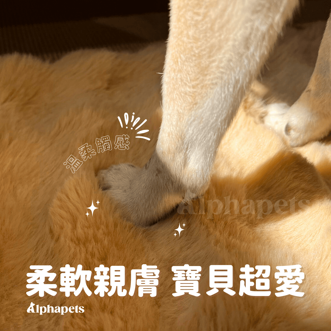 泡泡絨寵物暖墊 貓狗睡墊 多種尺寸