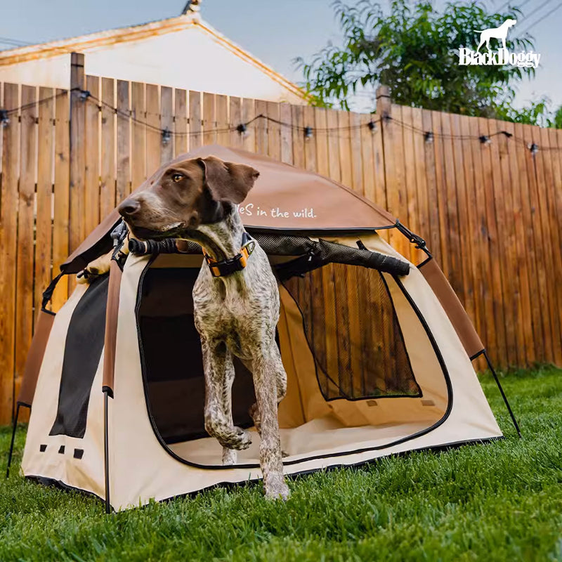 BlackDoggy 寵物戶外帳篷 防潑水 自動桿架 寵物窩