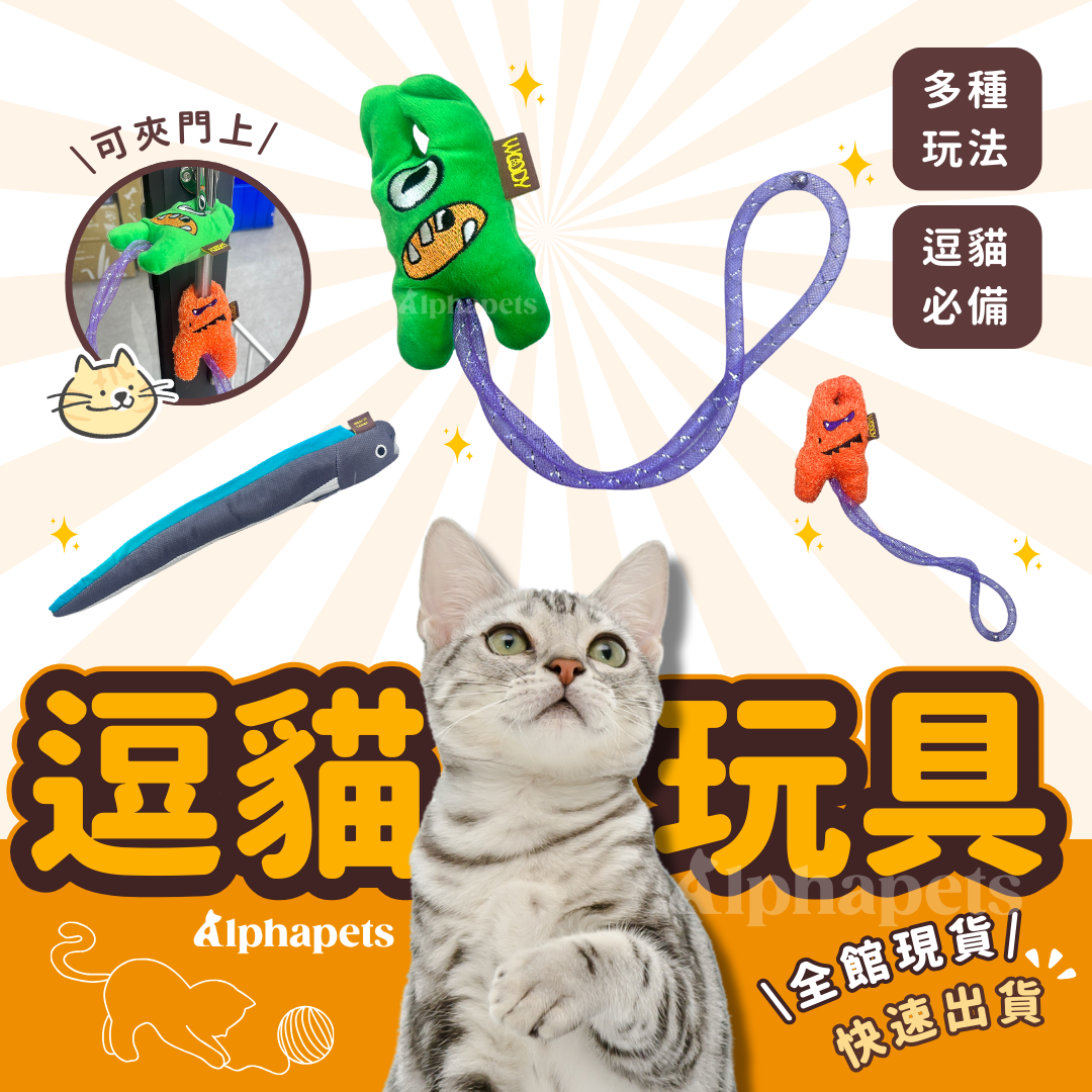逗貓玩具