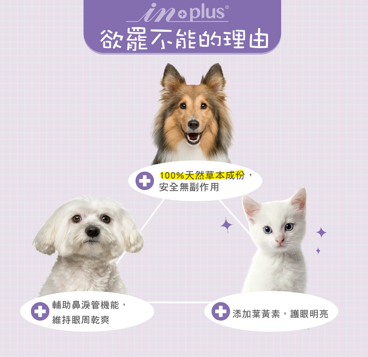 IN-Plus 眼睛保健 護眼晶草本精華素 淚痕敏感養護適用 40g 犬貓視力保健