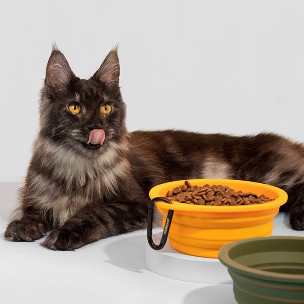 HiDREAM 矽膠折疊旅行碗 寵物摺疊碗 7色