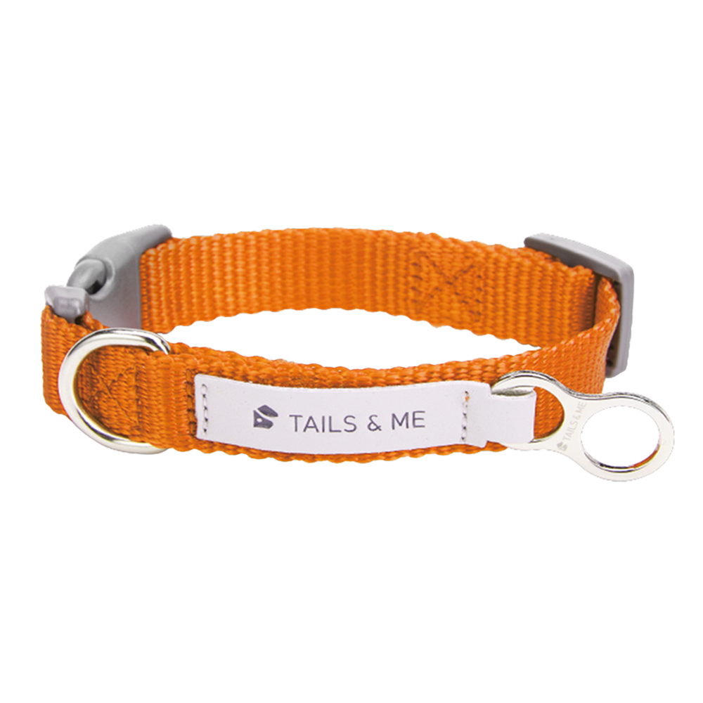 tails&me 尾巴與我 經典尼龍帶項圈 Nomo單色系列 寵物項圈