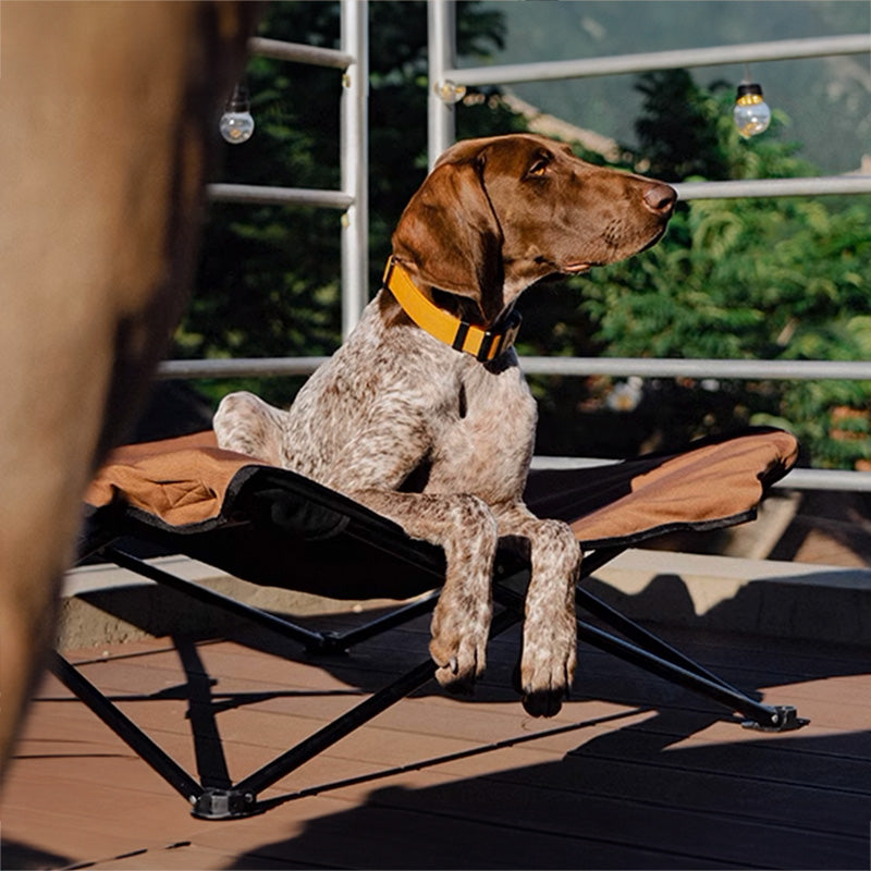 BlackDoggy 寵物戶外防潑水摺疊行軍床 / 專用睡墊 寵物床