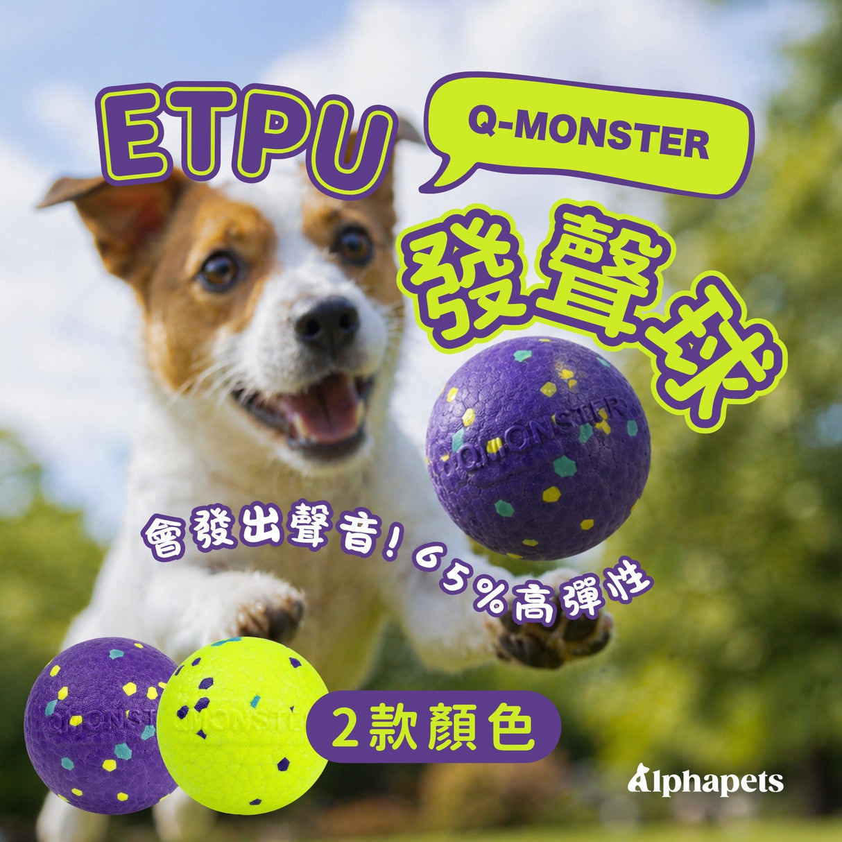 QMONSTER ETPU發聲球 發聲彈力耐咬磨牙浮水狗玩具