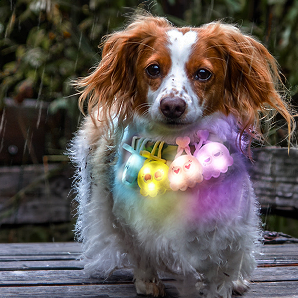 LaRoo 萊諾 糖果章魚LED發光吊墜 寵物項圈吊飾