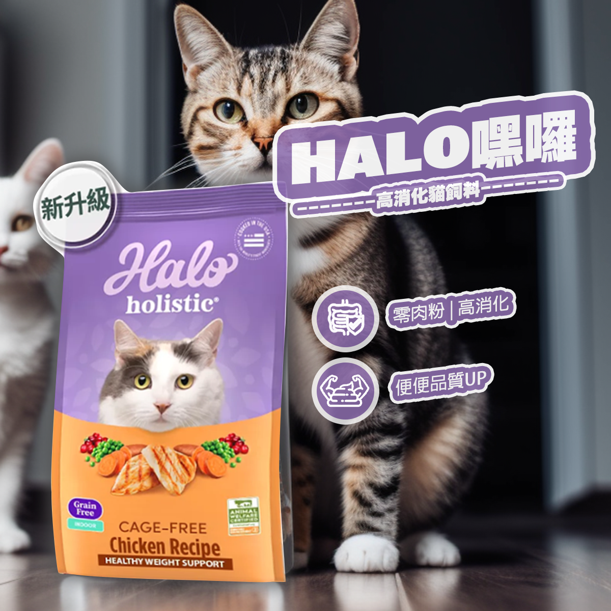 HALO嘿囉 無穀貓飼料 雞肉 鮭魚白魚 零肉粉 高消化率