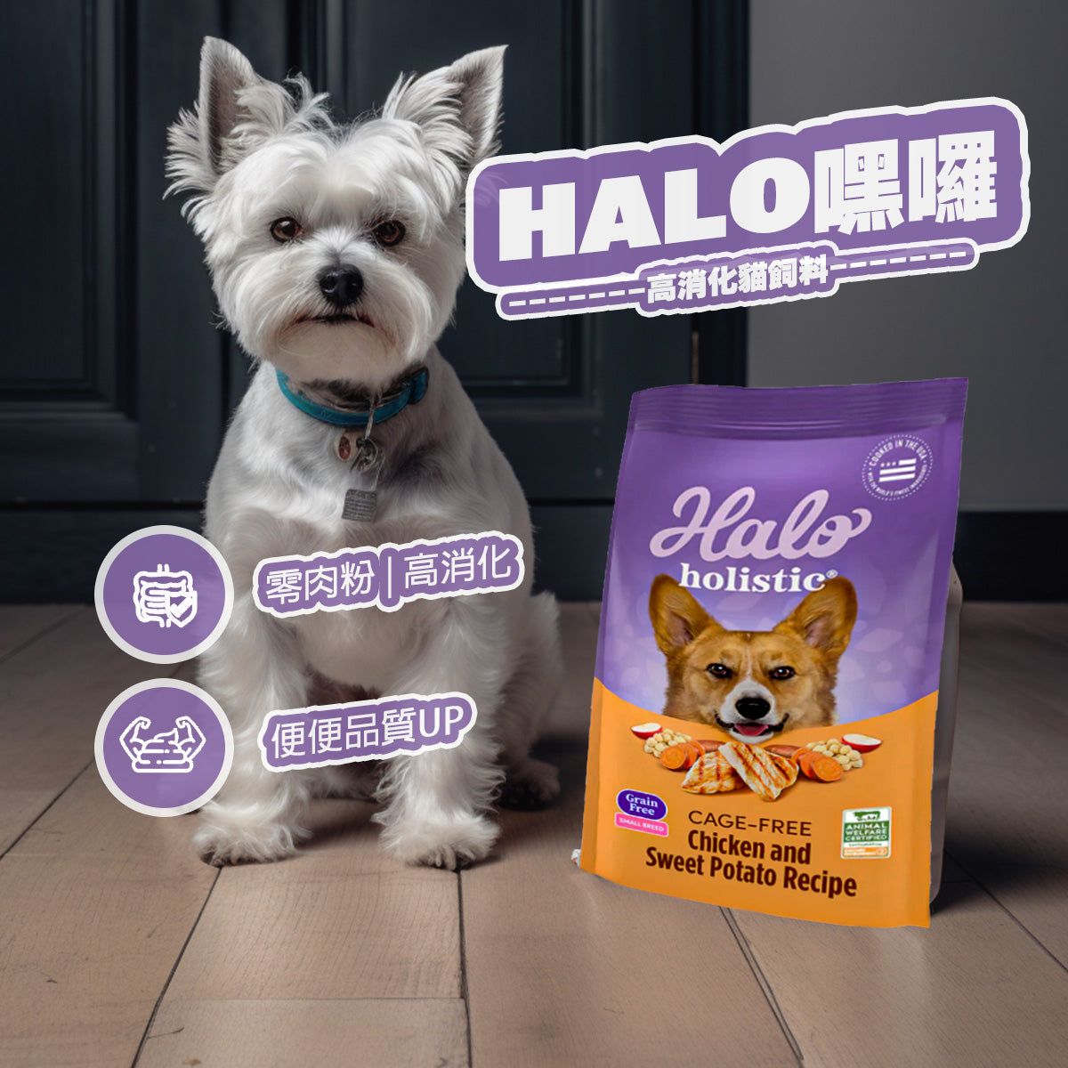 HALO嘿囉 無穀狗飼料 零肉粉 高消化率 成犬 幼犬 狗飼料