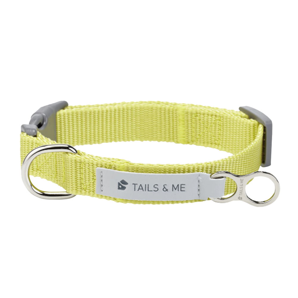 tails&me 尾巴與我 經典尼龍帶項圈 Nomo單色系列 寵物項圈
