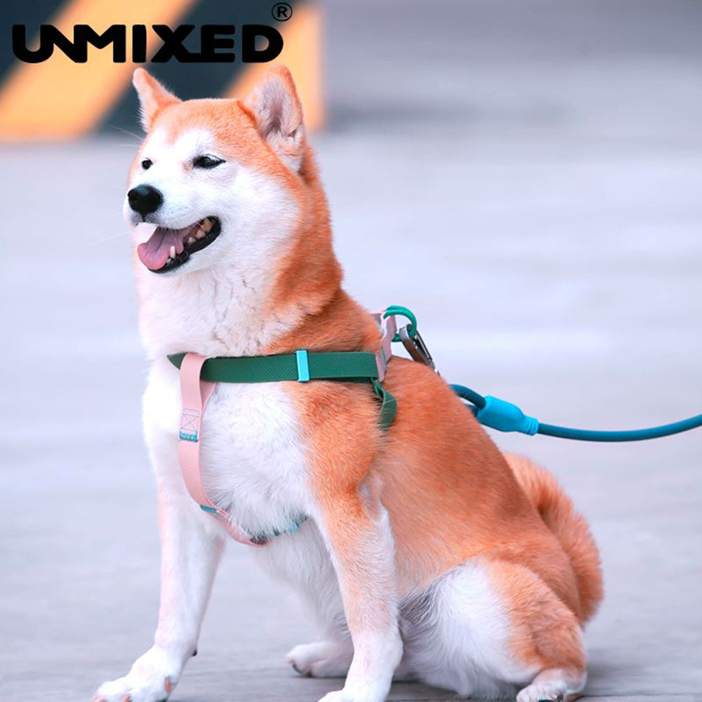 UNMIXED 活力MIX系列 PVC防水寵物外出牽繩 2種尺寸