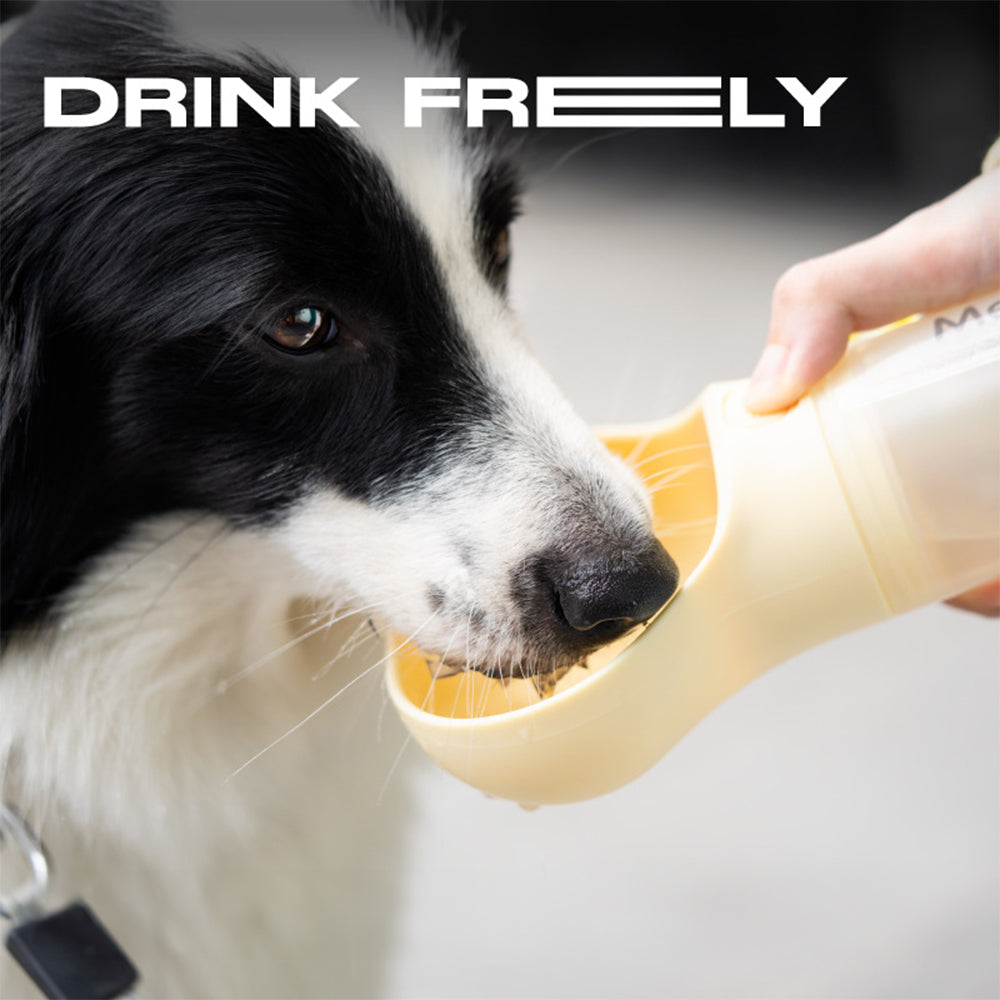 MewooFun喵乎汪也 狗狗外出隨行水壺 寵物水壺