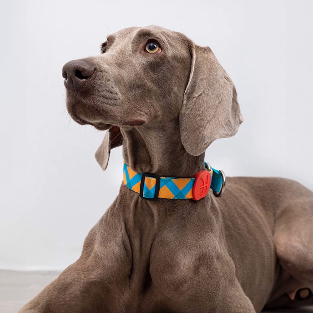 HiDREAM 繽紛PRO系列 防爆冲項圈 寵物項圈 5款